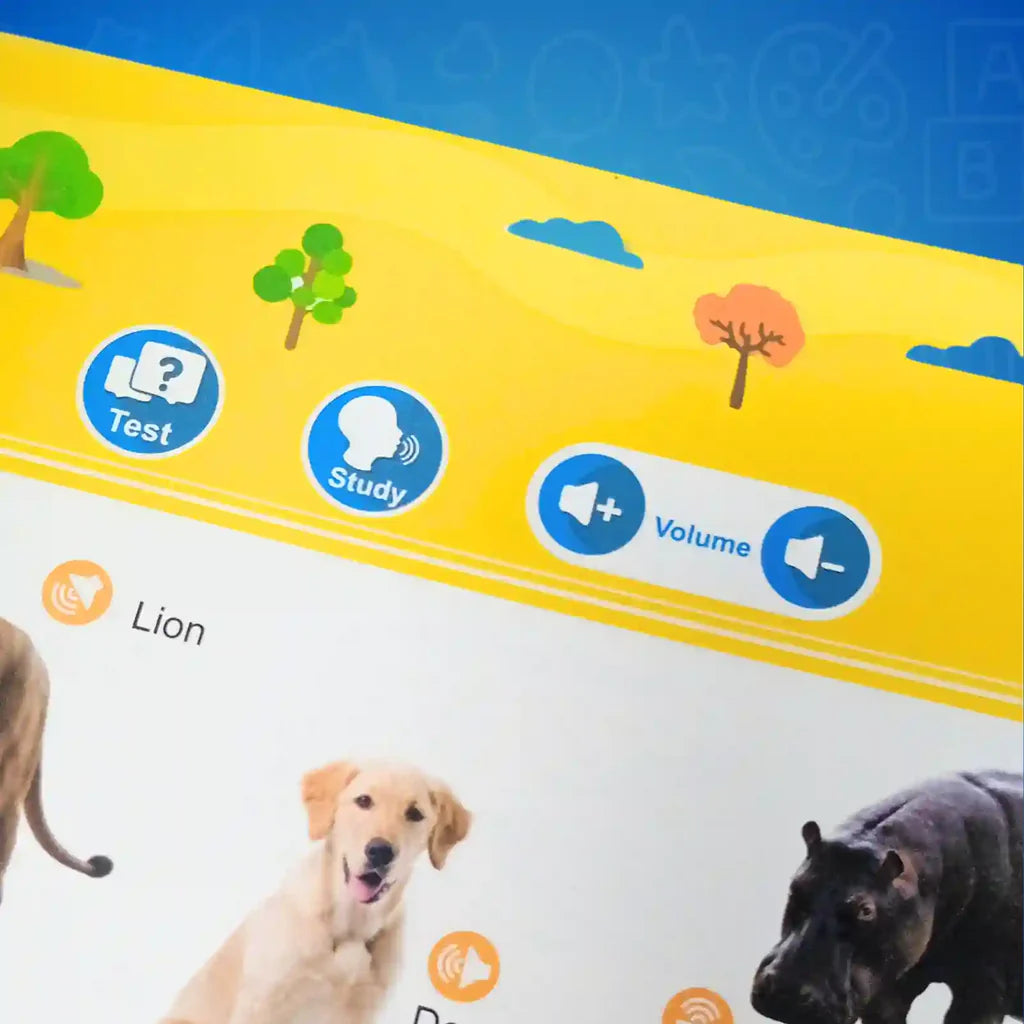 π₯3 in 1 LEARNING BUNDLE : Flash Drum, English Word book and Water Magic Book (Free) π₯