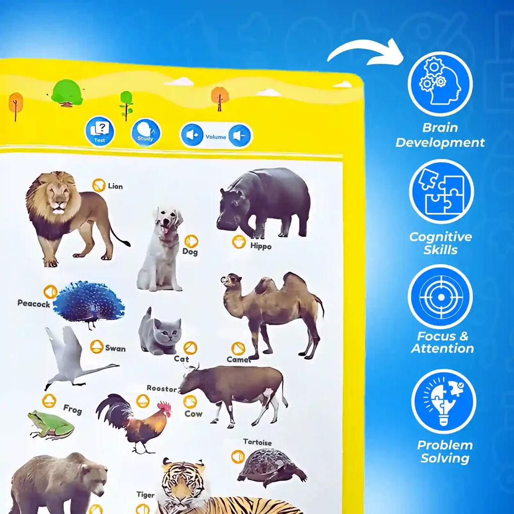 π₯ 3 in 1 LEARNING BUNDLE : English Word Book, Learn & Play and Water Magic Book ( Free )! π₯