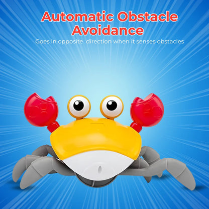 Crawl & Learn Crab Tummy Time Hack Toy (USB Charging)